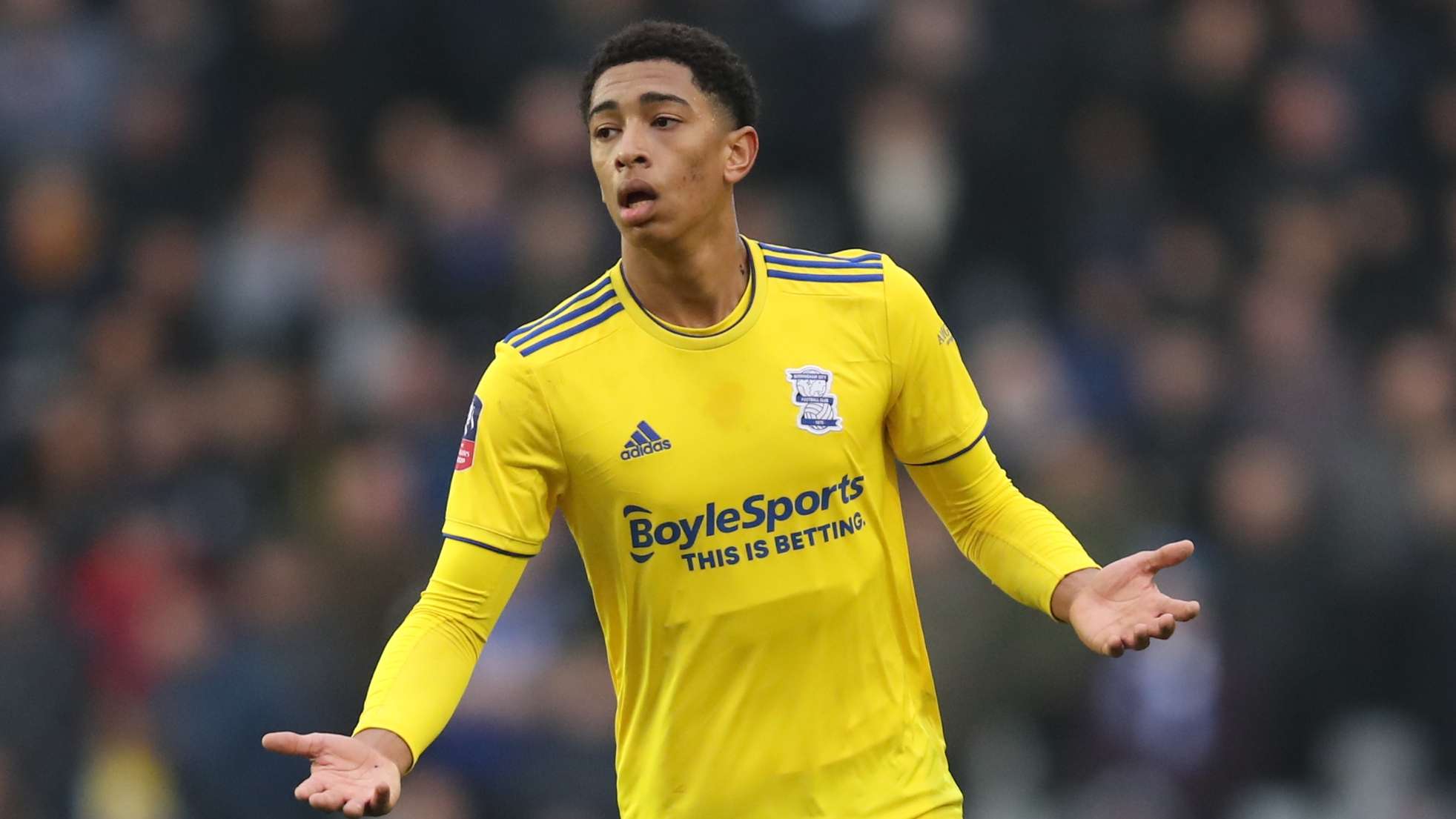 术素养的教 术素养的教